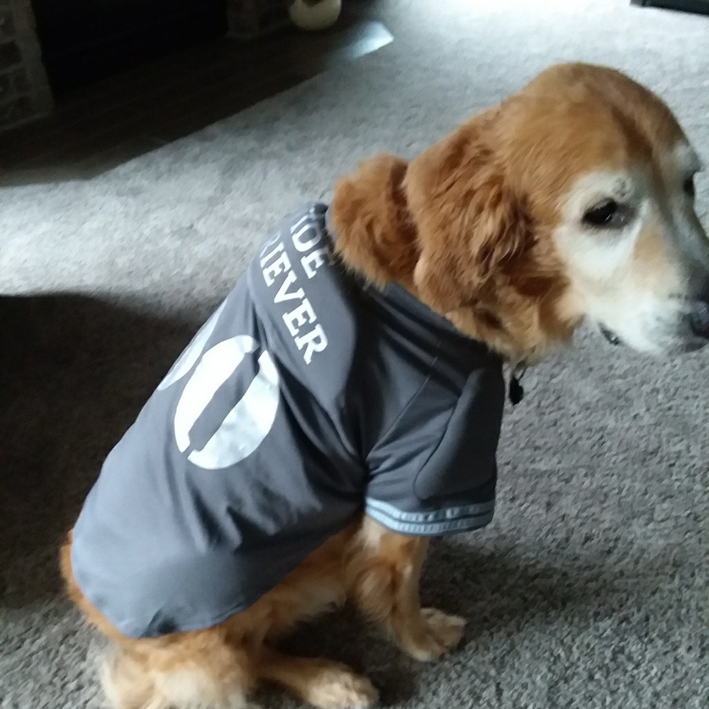 Dog Halloween costume